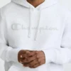 Sudadera con capucha Powerblend, Script Logo en letra cursiva a tono